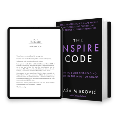 The Inspire Code Saša Mirković Book